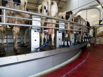 def-2_mega-dairy_milking-germany_aug-2012